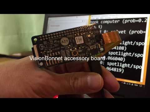 Raspberry Pi Zero W + VisionBonnet | Image Classification