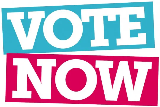 vote-now-540x361.jpg