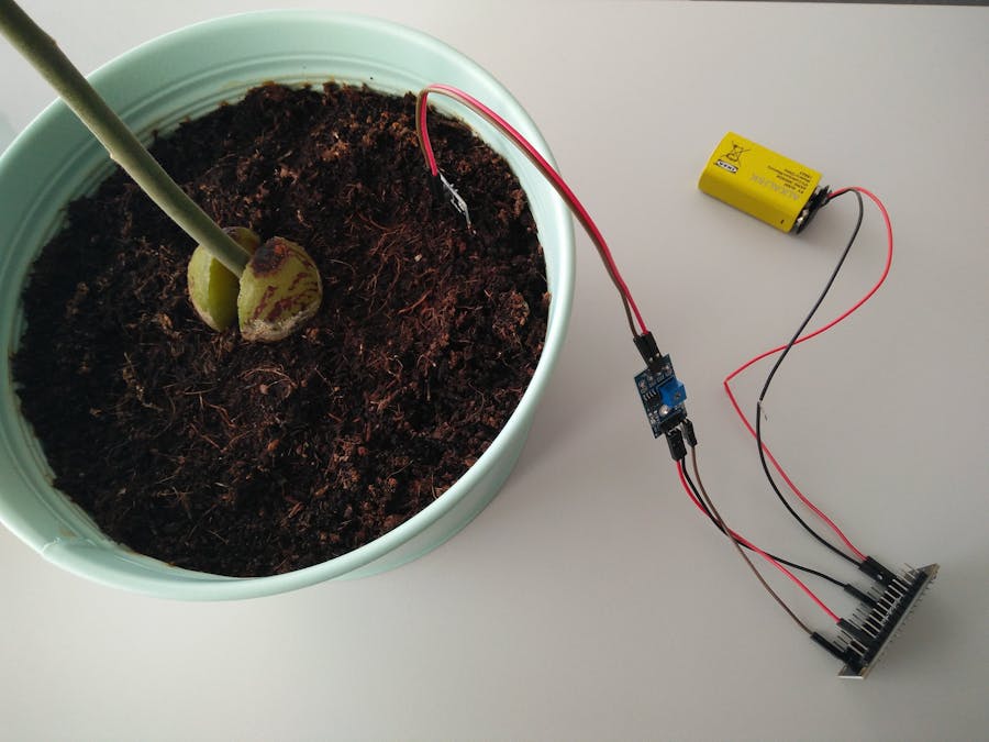 Avocado Watering Monitor with Telegram BOT