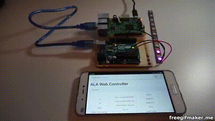 Raspberry Pi Led Project