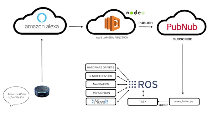 Echo and Software