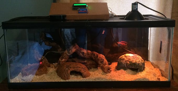 My son's snake terrarium.