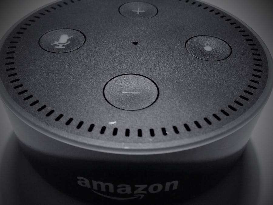 Alexa Water my plant