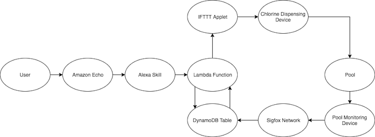 Flow Chart of the Whole Project