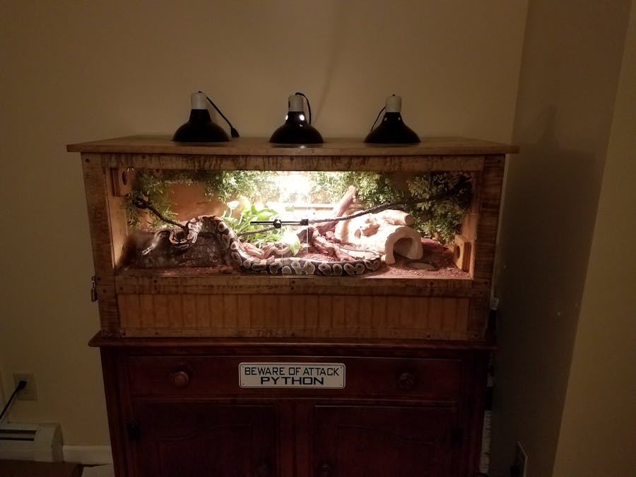 Automated Snake Enclosure with Camera