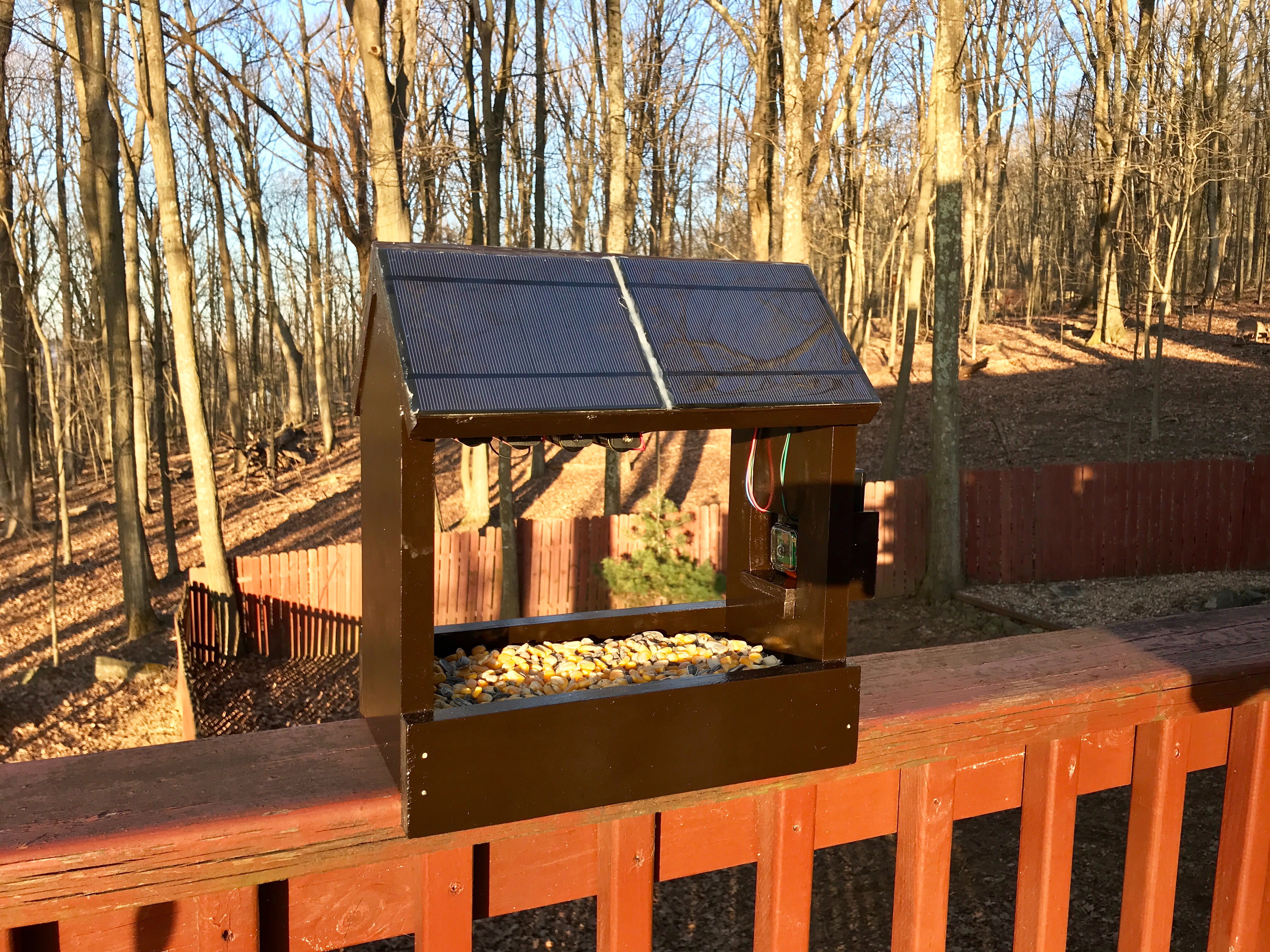 raspberry pi nature camera