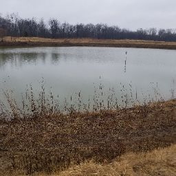 Hanging Roots Aquaponics
