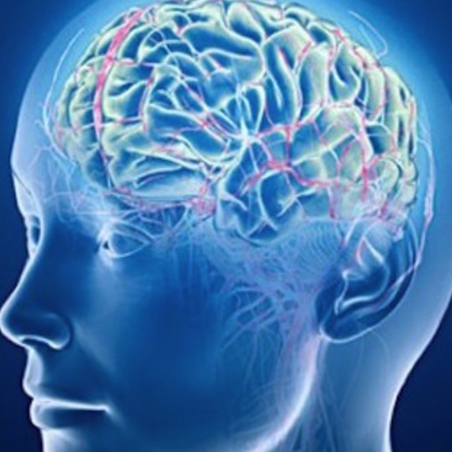 Payton Mahalia Brintnall