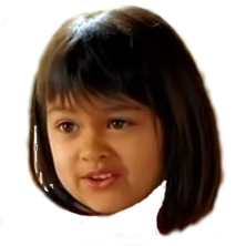 I sell stolen chainsaws