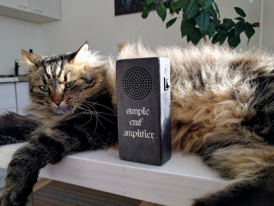 Electromagnetic Field (EMF) Amplifier