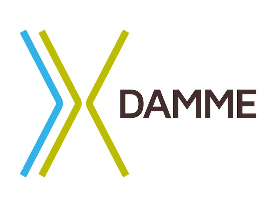 Damme, a City on the Way to Digitizing