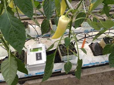 Weight Cube for Greenhouse