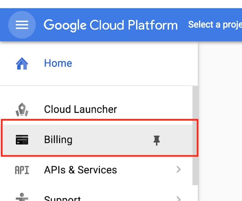 Google Vision API using Raspberry Pi and Node