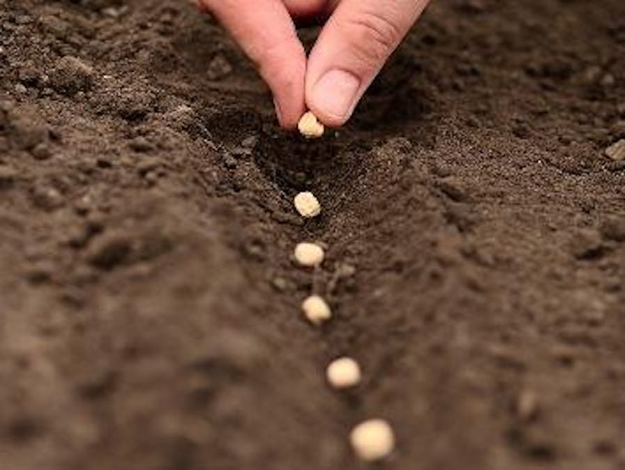 Knowing Earth Beneath