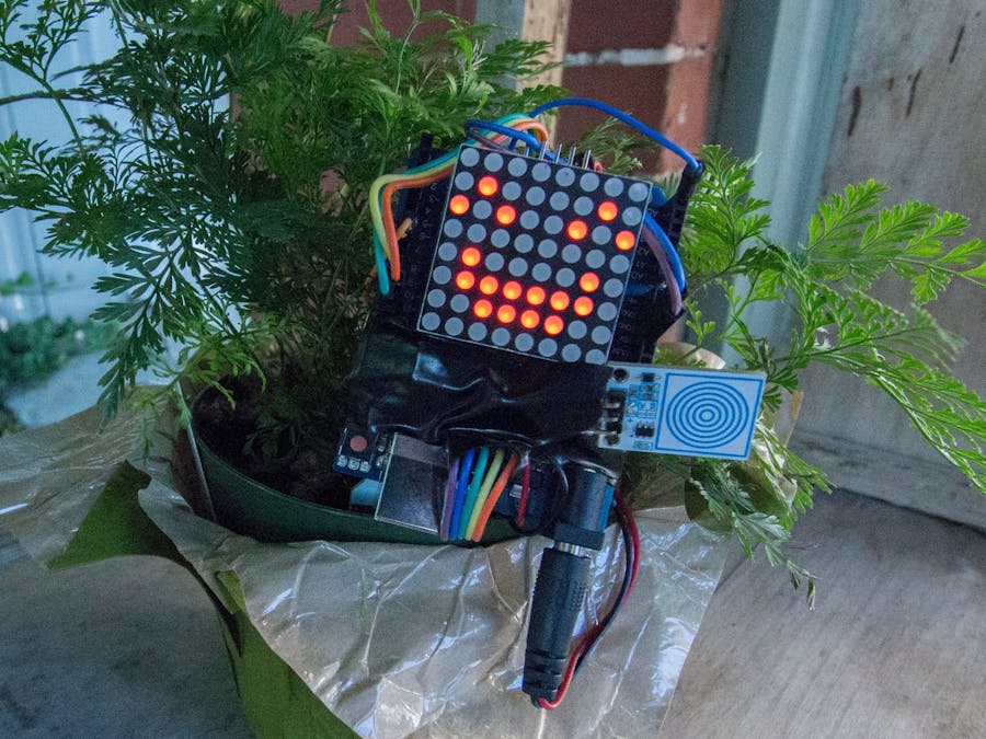 The Artificial Plant Emotion Expressor (APEX)