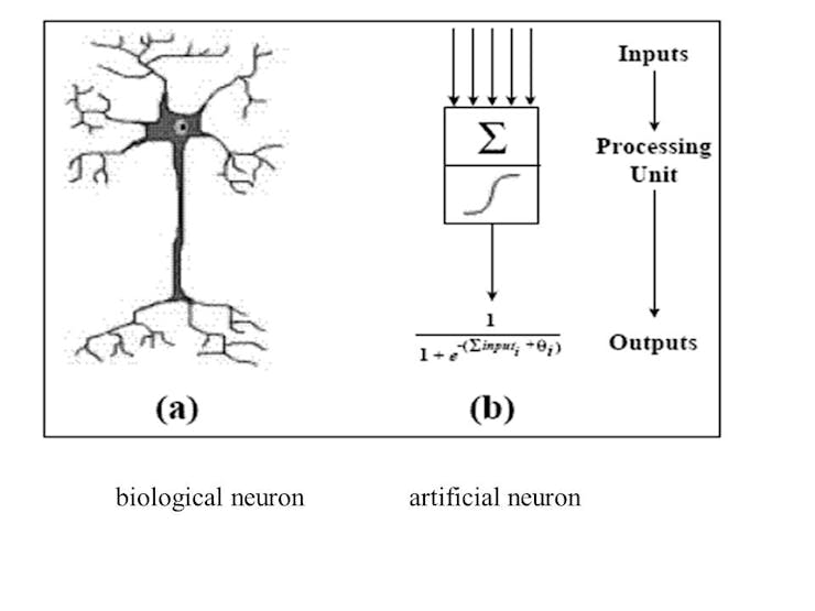 Biological neuron vs. Articial neuron. Source (Wikipedia)