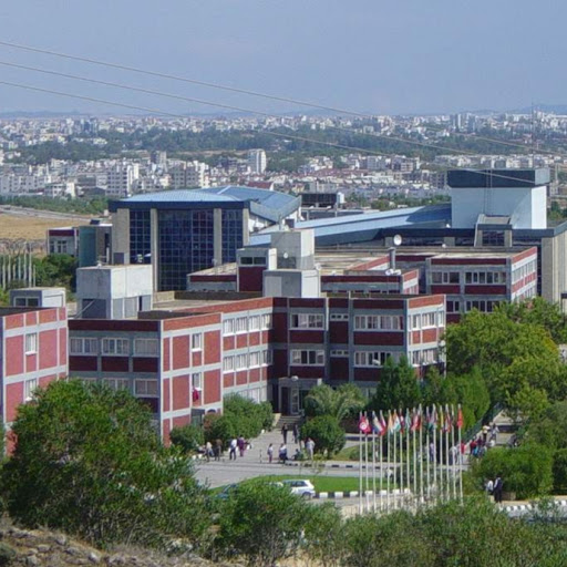 Muhammad Awais Janjua