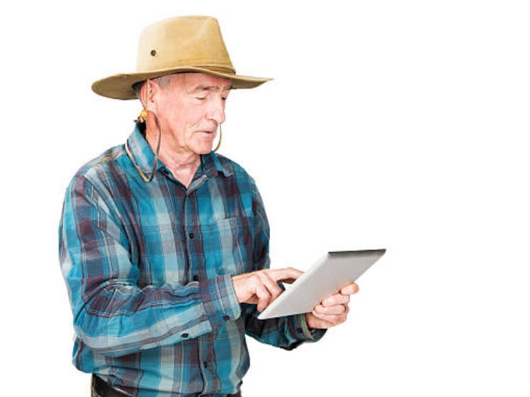 Drip: Precision Irrigation