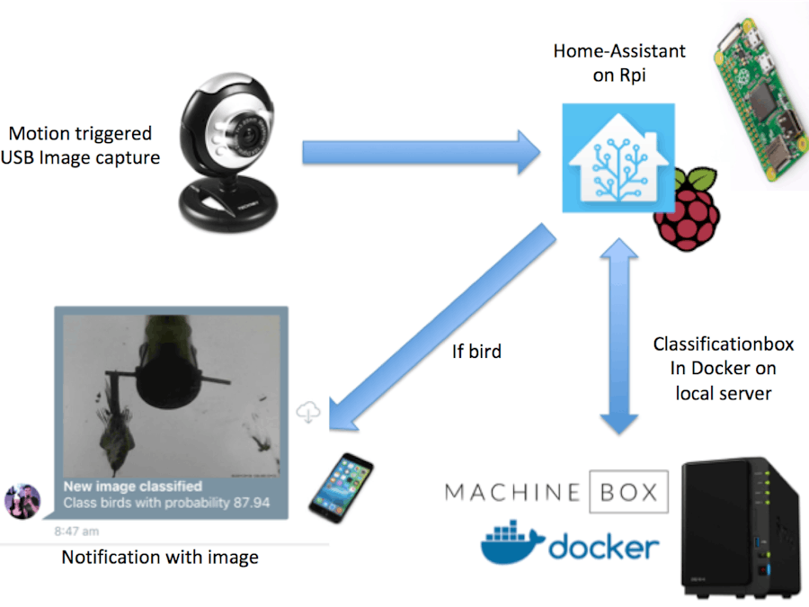 Motion Activated Image Capture and Classification of Birds