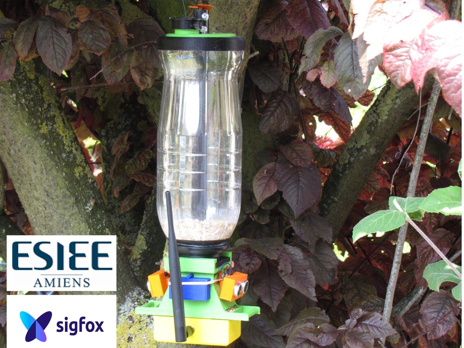 Smart Bird Feeder Hackster.io