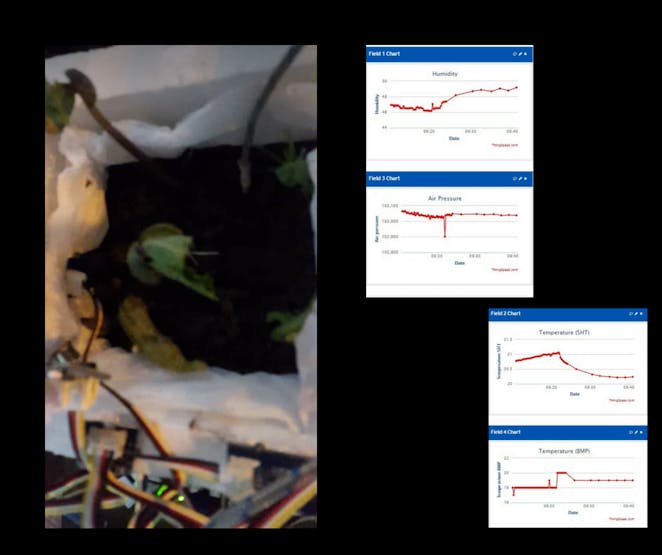 FIRST DATA TAKES