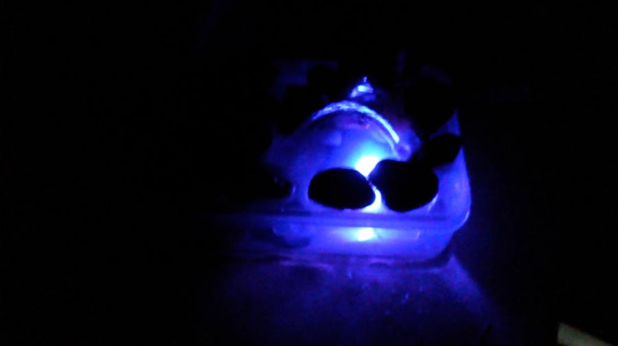 Smart Water Fountain