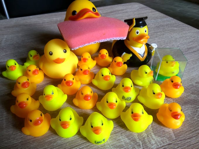 No rubber ducks were harmed during the making of this project
