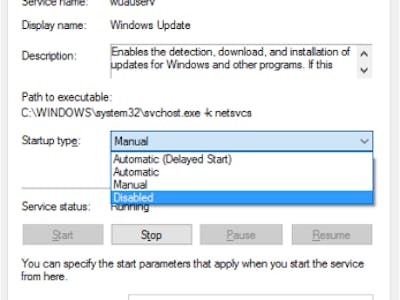 Disabling Windows 10 Updates