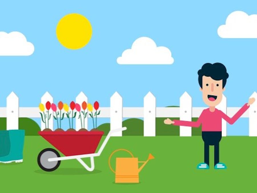 Getting Started with Bolt: Light Monitoring for Plants