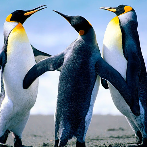 Gunasekaran Srinivasan