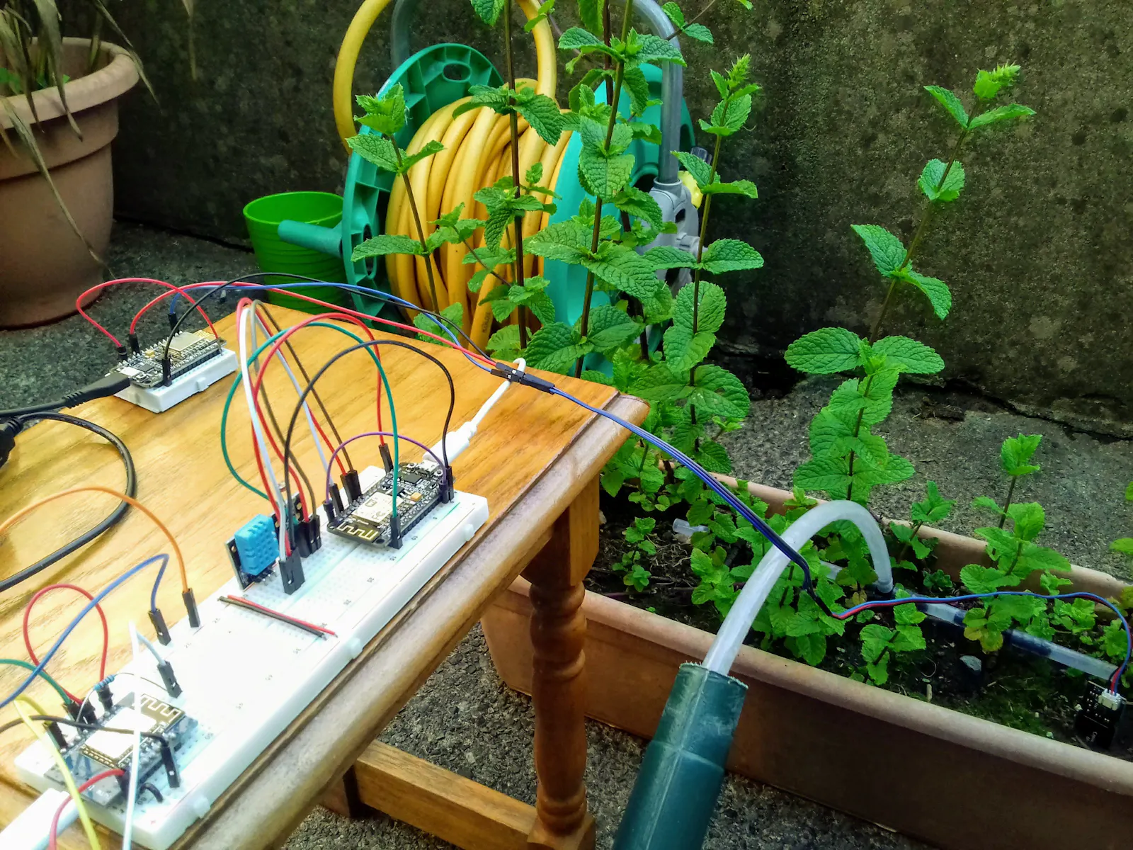 Python/MicroPython IoT Framework Example - Auto Irrigation - Hackster.io