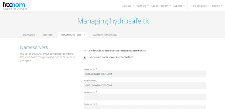 Custom nameservers saved in the registrar