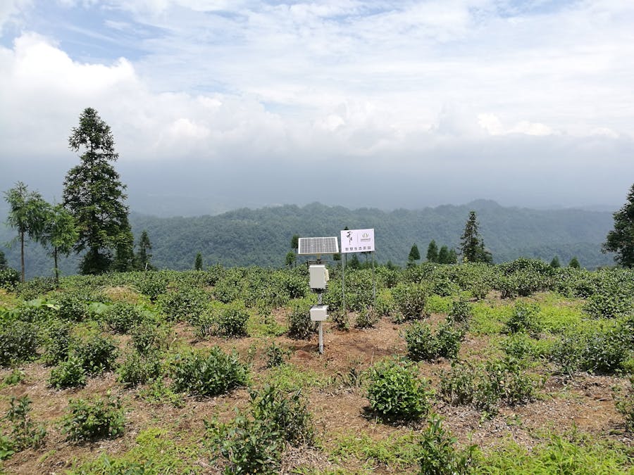 Seeed LoRa IoTea Solution