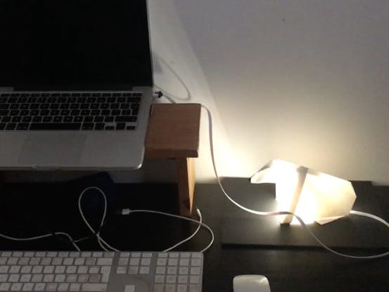 Origami Polar Bear Lamp