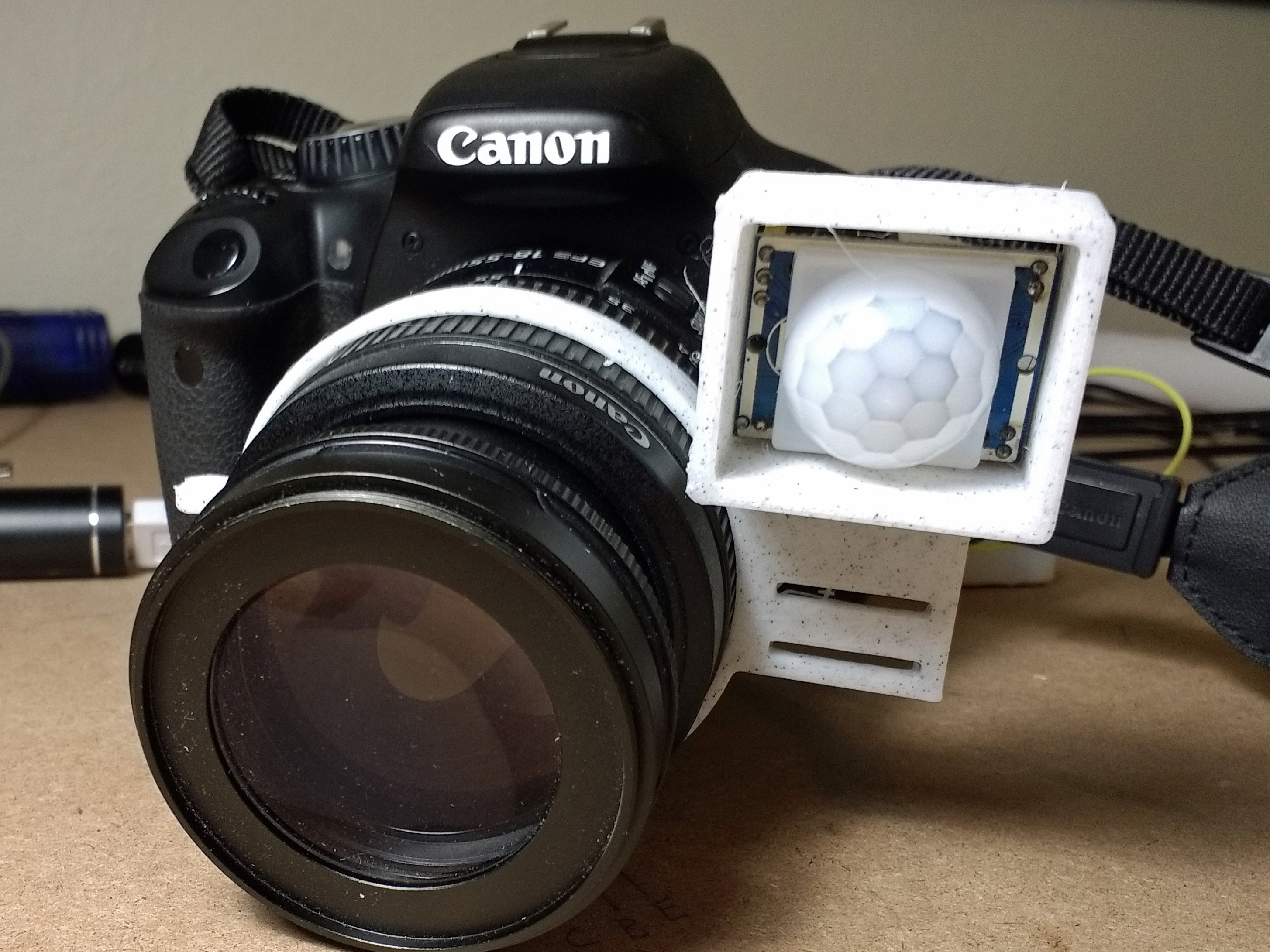 motion sensor nature camera