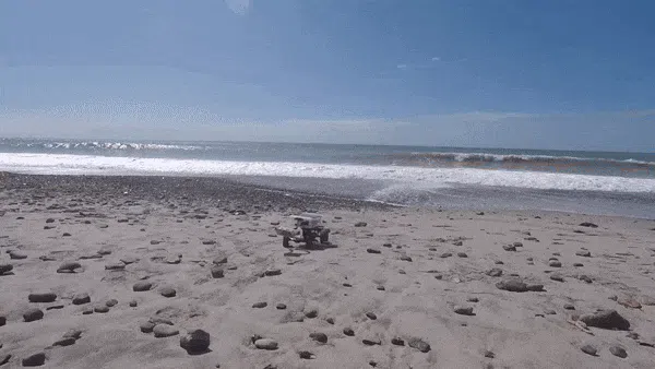 LitterBug - Autonomous Trash Rover - Hackster.io