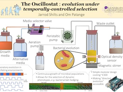 The Oscillostat