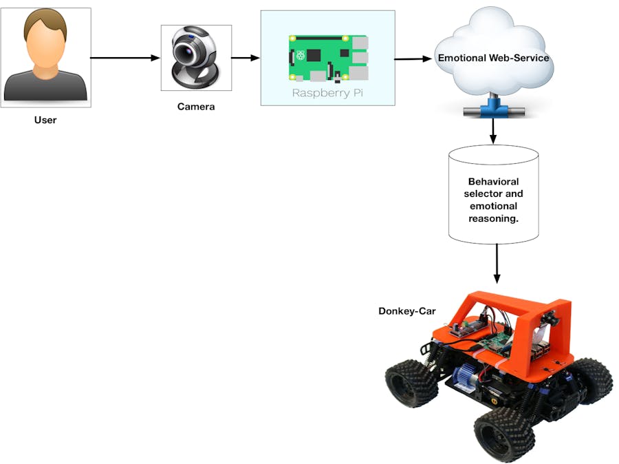 Emotional Donkey Car