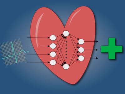 Low-Cost ECG Pathology Detection with Deep Neural Networks