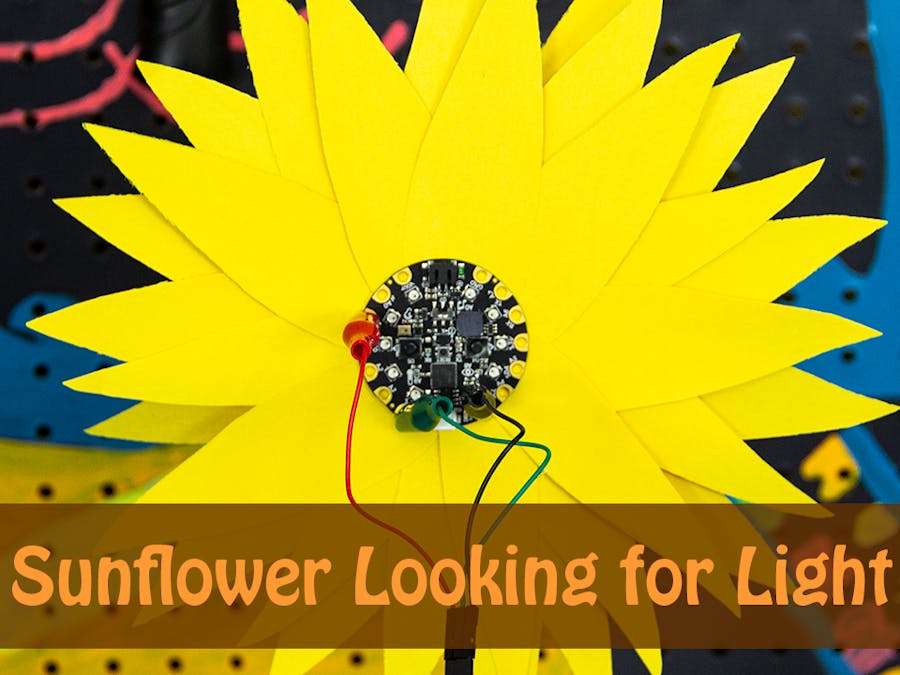 Circuit Playground Sunflower Looking for Light