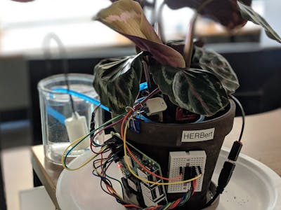 Herb(ert): A Desk Plant with Automated Irrigation
