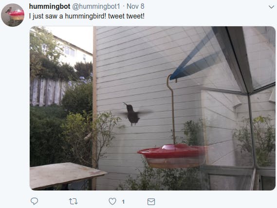 Hummingbot: Machine Vision for Hummingbird Tweeting