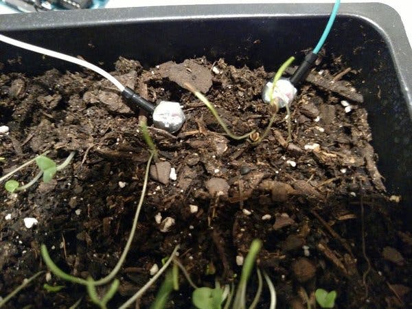 DIY Plant Moisture Sensor