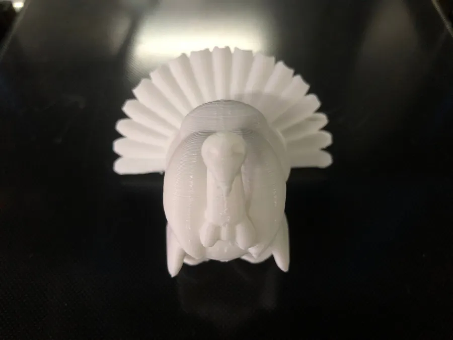Print Turkey for a Printer Under $200
