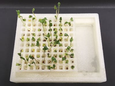 Germinate Seeds with a 3D-Printed Container