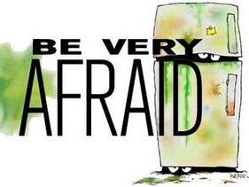 Is It Fresh? Refrigerator Monitor