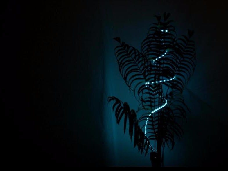 Christmas Music Cheer Light