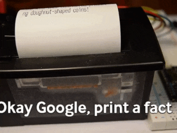 Print Random Fact with Google Assistant