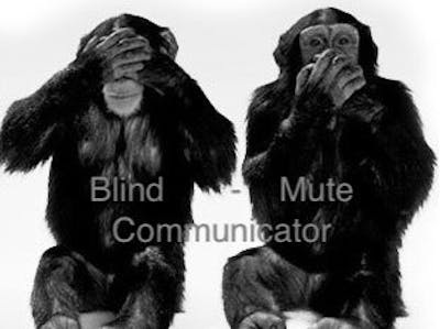 Blind-Mute Communicator
