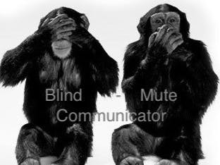 Blind-Mute Communicator